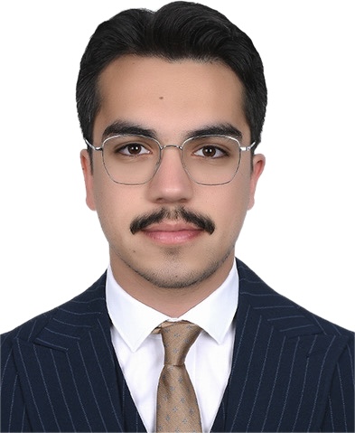 محمد علي بال، مستشار قانوني في Bosphorus Immigration